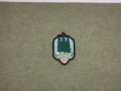 Explore tree embroidered patch